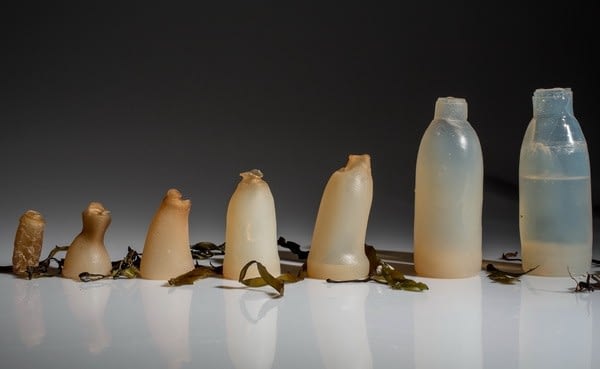 A really biodegradable bottle
